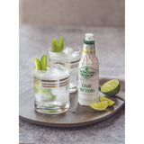 Fee Brothers Lime Bitters