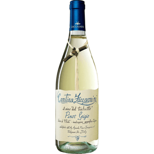 Cantina Zaccagnini Pinot Grigio