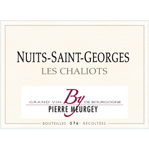 Pierre Meurgey NSG Les Chaliots