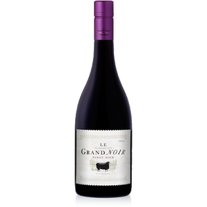 Le Grand Noir Pinot Noir, Limoux, France